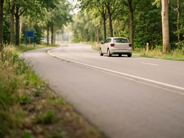 Route calme bordée d'arbres avec une voiture compacte au loin